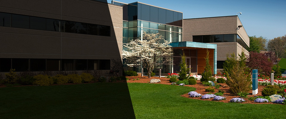 South Richmond Hill Landscapers