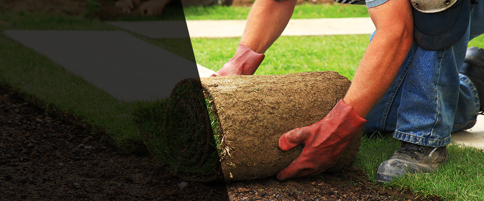 South Richmond Hill Landscapers